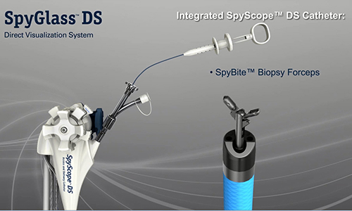 Animación del sistema de visualización directa SpyGlass DS